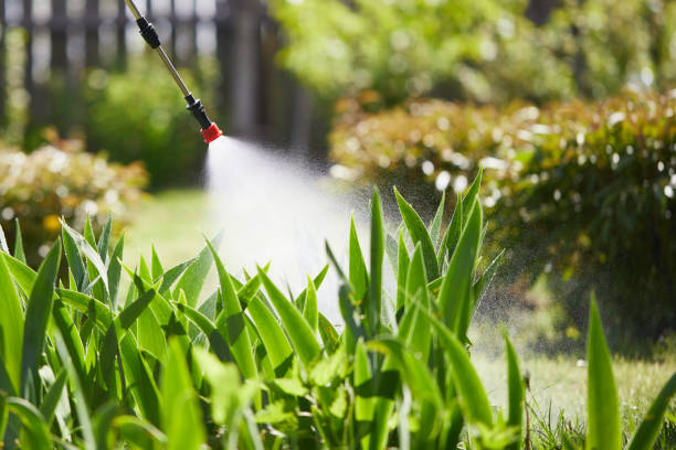 24/7 Emergency Mosquito Control experts in McGregor, FL